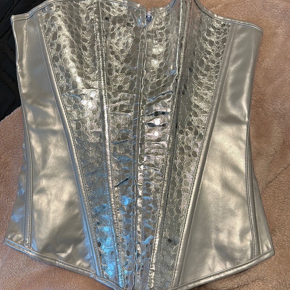 Brand New Metallic Corset